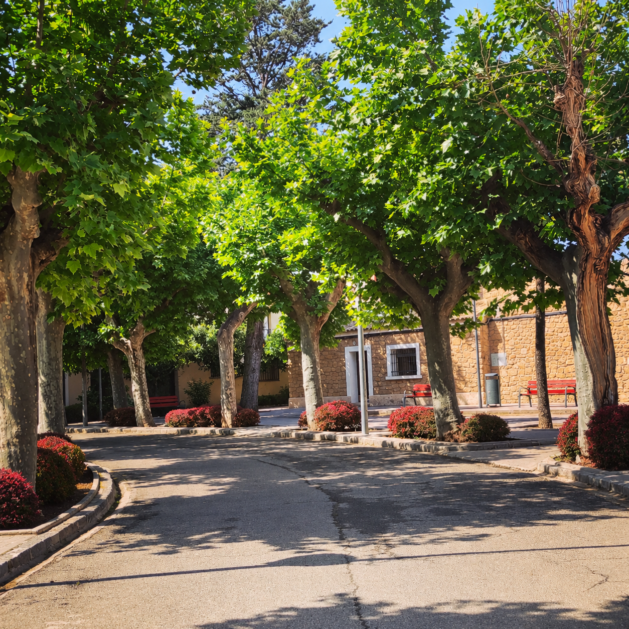 Calle arbolada de Puigmoreno con bancos y viviendas de piedra
