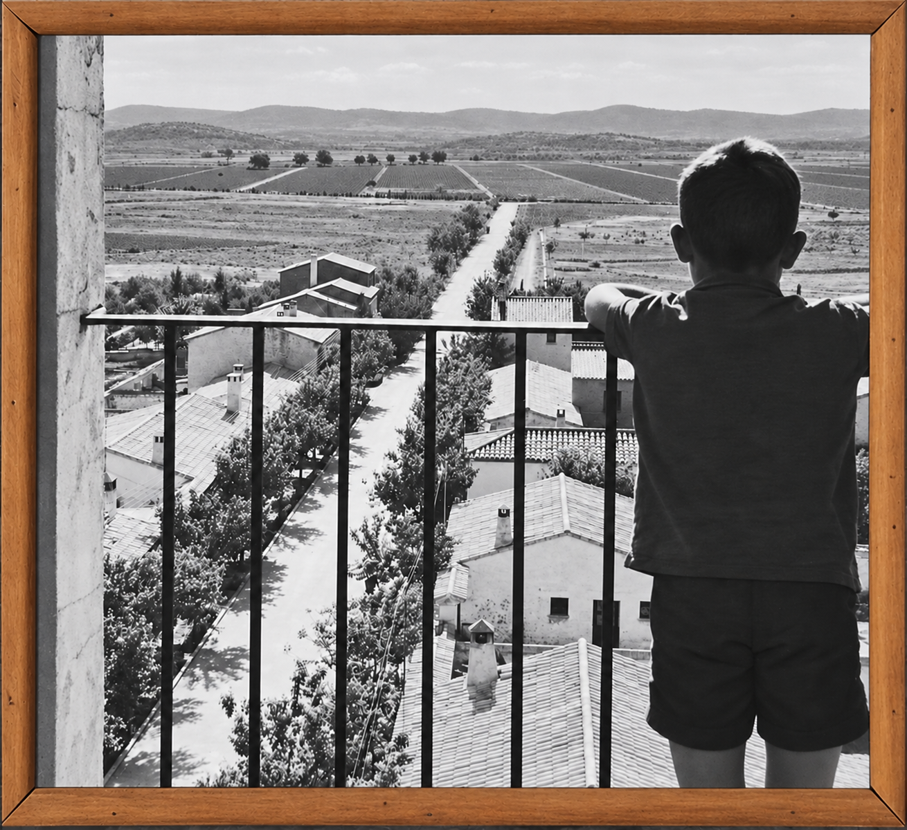 Persona vista de espaldas desde un balcón, ante una calle arbolada y campos en una fotografía en blanco y negro con marco de madera